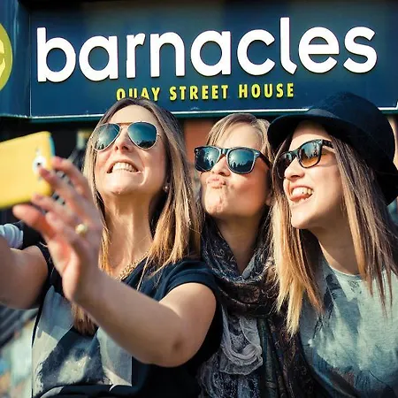 Snoozles Quay Street Tourist غالواي