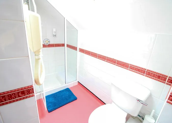 Snoozles Quay Street Tourist Galway